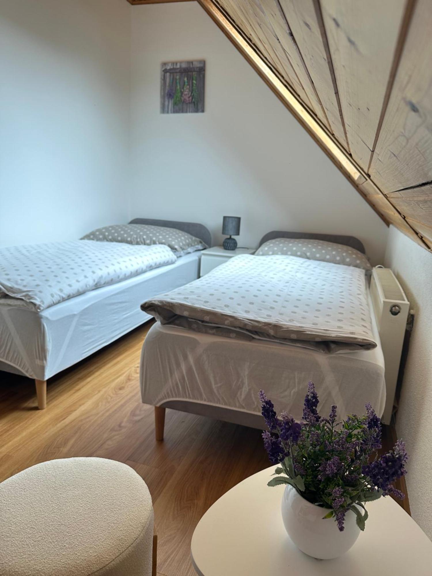 Apartman Jako U Babicky Tisá Zewnętrze zdjęcie