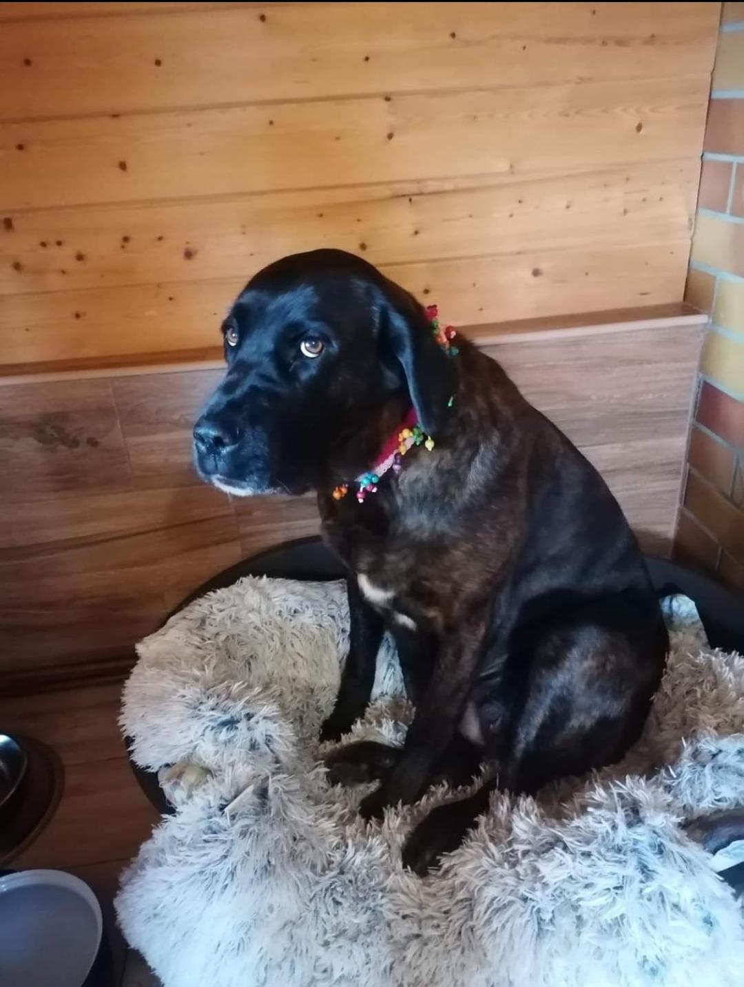 Apartman Jako U Babicky Tisá Zewnętrze zdjęcie